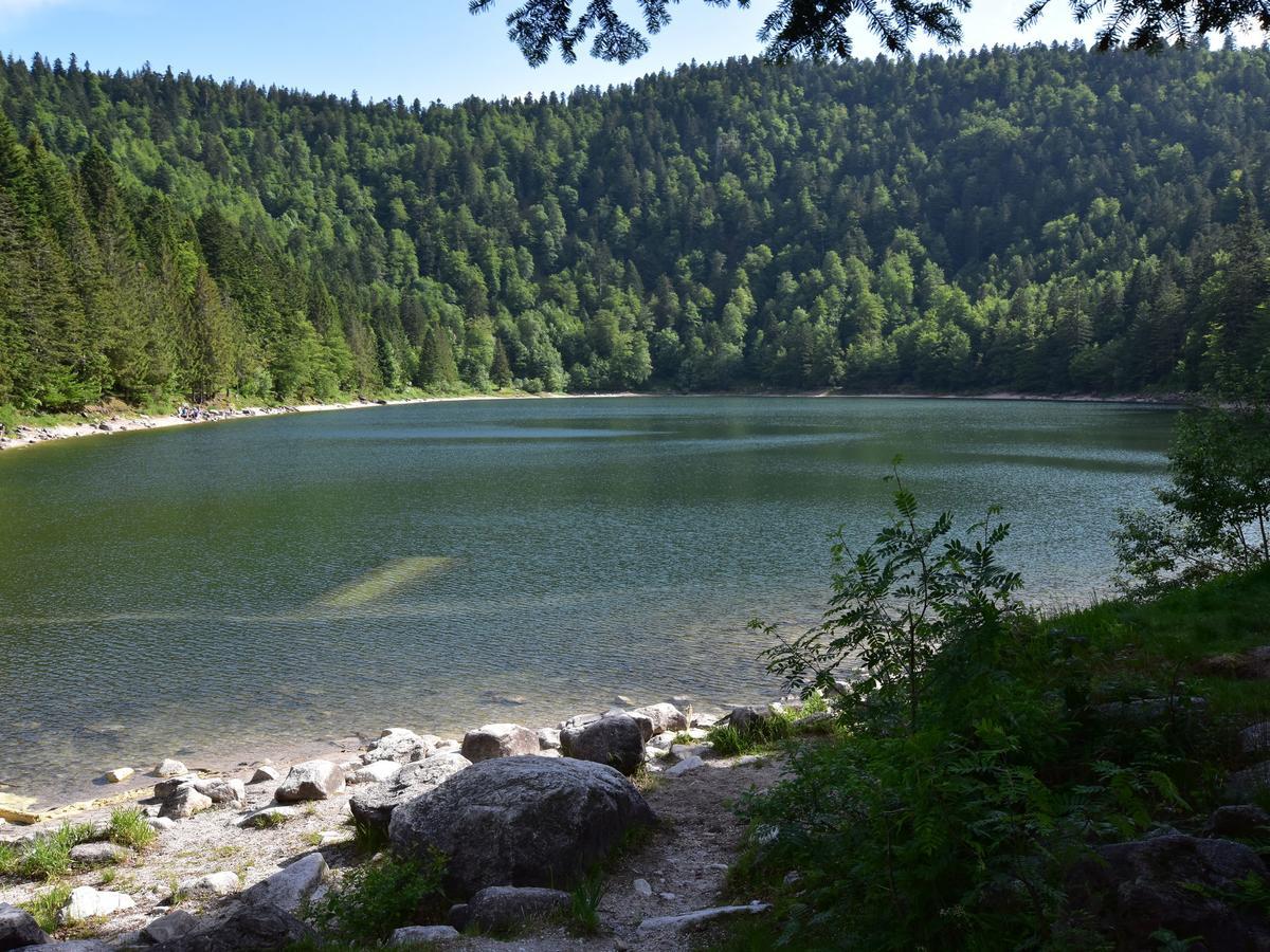 Quaint Chalet In La Bresse With Sauna Villa Ngoại thất bức ảnh